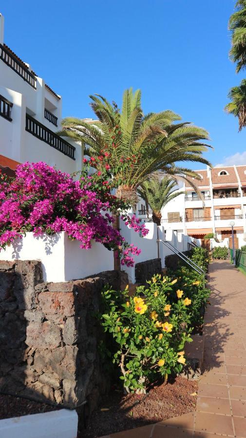 Apartamento En Tenerife Sur, Parque Santiago 2 아로나 외부 사진